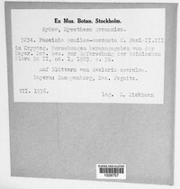 Image Associated With the Occurence